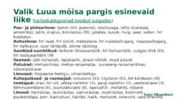Pargi elukooslus ja toiduvõrgustik Luua mõisa pargi näitel #4