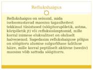 Kõrvetised esitlus #3