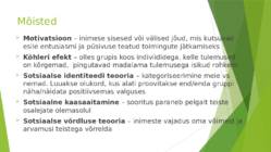 Tööefektiivsuse suurenemine grupivälise liikmega-sotsiaalsete kategooriate mitmekesisuse mõju motivatsiooni tõusule #2