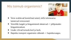Anafülaktiline šokk #3