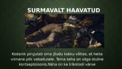 VABADUS VIIB RAHVA BARRIKAAdidele - Maali analüüs #12