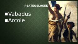 VABADUS VIIB RAHVA BARRIKAAdidele - Maali analüüs #4