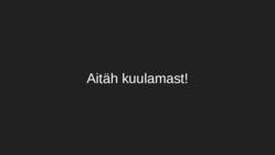 Juhan Liivi esitlus #8