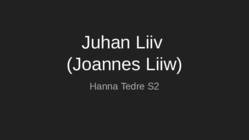Juhan Liivi esitlus