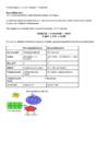 Bioloogia 3-kursus-metabolism-ATP-fotosüntees-rakuhingamine-käärimine #5