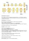 Bioloogia 3-kursus-Rakutsükkel-kromosoom-mitoos-meioos-ontogenees-menstruaaltsükkel #4