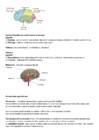 Bioloogia 3-kursus-homoöstaas-neuron-närvisüsteem-AP-sünaps-vaktsineerimine #5