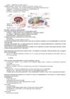 Neuropsühholoogia kordamisküsimused #3