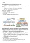 Neuropsühholoogia kordamisküsimused
