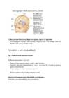 Neuropsühholoogia #27