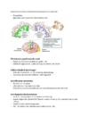 Neuropsühholoogia #9
