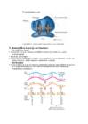 Mikrobioloogia kordamisküsimused 3 osa #3