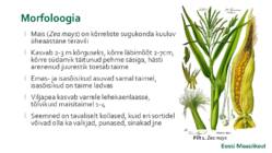 Maisi masintehnoloogia #2