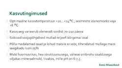 Maisi masintehnoloogia #5
