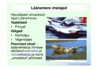 Meie Läänemeri – kuidas tal läheb- Mida saaksime mere hea seisundi nimel teha või tegemata jätta #14