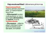 Meie Läänemeri – kuidas tal läheb- Mida saaksime mere hea seisundi nimel teha või tegemata jätta #21