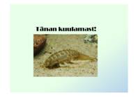 Meie Läänemeri – kuidas tal läheb- Mida saaksime mere hea seisundi nimel teha või tegemata jätta #83