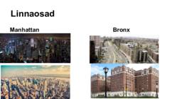 New York #5