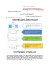 Kursuse YKA0060 Instrumentaalanalüüs kordamisküsimused-I osa #17