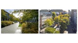 PLACE D´YOUVILLE #6