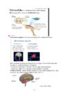 Neuroloogia 2 kursus #3
