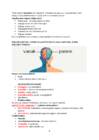 Neuroloogia 2 kursus #5