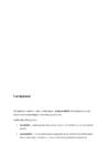 Juuste värvimine referaat #3