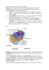 Bioloogia kolmas kursus #2