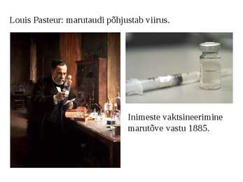 Viirused #4