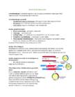 BIOTEHNOLOOGIA