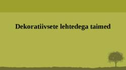 Puittaime liigid-tutvustus-31tk #102