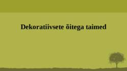 Puittaime liigid-tutvustus-31tk #118
