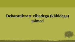 Puittaime liigid-tutvustus-31tk #130