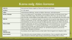 Puittaime liigid-tutvustus-31tk #139