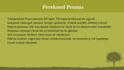 Puittaime liigid-tutvustus-31tk #27