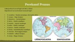 Puittaime liigid-tutvustus-31tk #28