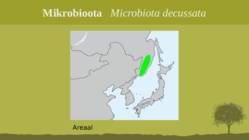 Puittaime liigid-tutvustus-31tk #4