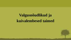 Puittaime liigid-tutvustus-31tk #31