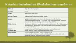 Puittaime liigid-tutvustus-31tk #51