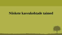 Puittaime liigid-tutvustus-31tk #56