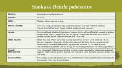 Puittaime liigid-tutvustus-31tk #57