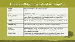 Puittaime liigid-tutvustus-31tk #89
