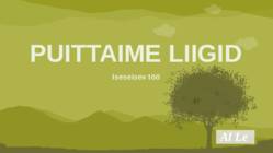 Puittaime liigid-tutvustus-31tk