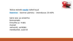 Raud ühend esitlus #11