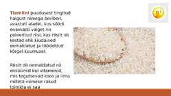 Tiamiin vitamiin esitlus #11