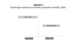 RAAMATUPIDAMINE #16