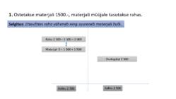 RAAMATUPIDAMINE #17