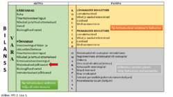 RAAMATUPIDAMINE #31