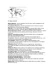 Geograafia kordamisküsimused #6