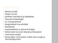 Subkultuur-hipid #11